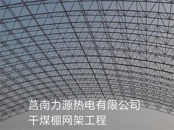 肇东力源热电有限公司干煤棚网架工程